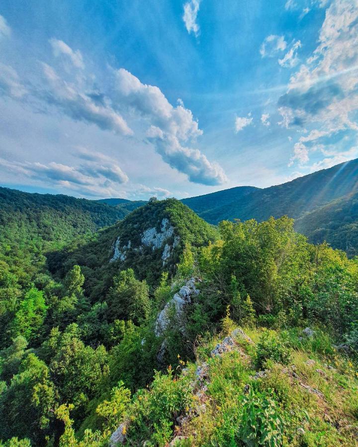 Restoran Sa Prenocistem Gornjak Krepoljin Dış mekan fotoğraf
