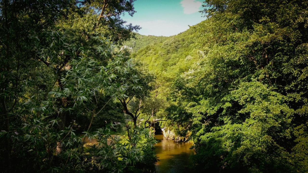 Restoran Sa Prenocistem Gornjak Krepoljin Dış mekan fotoğraf