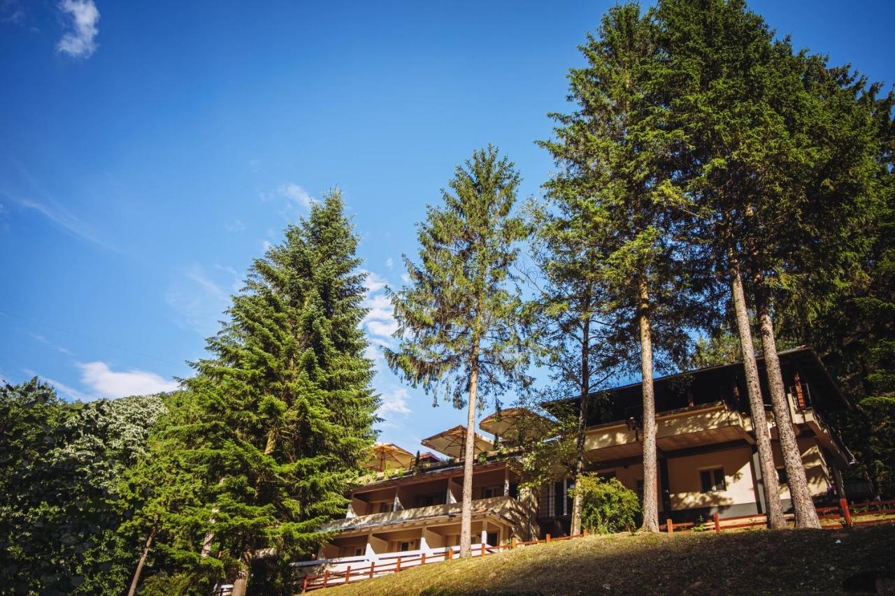 Restoran Sa Prenocistem Gornjak Krepoljin Dış mekan fotoğraf